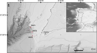 Identifying Habitats of Conservation Priority in the São Vicente Submarine Canyon in Southwestern Portugal